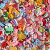 Assorted Flat Back Charms