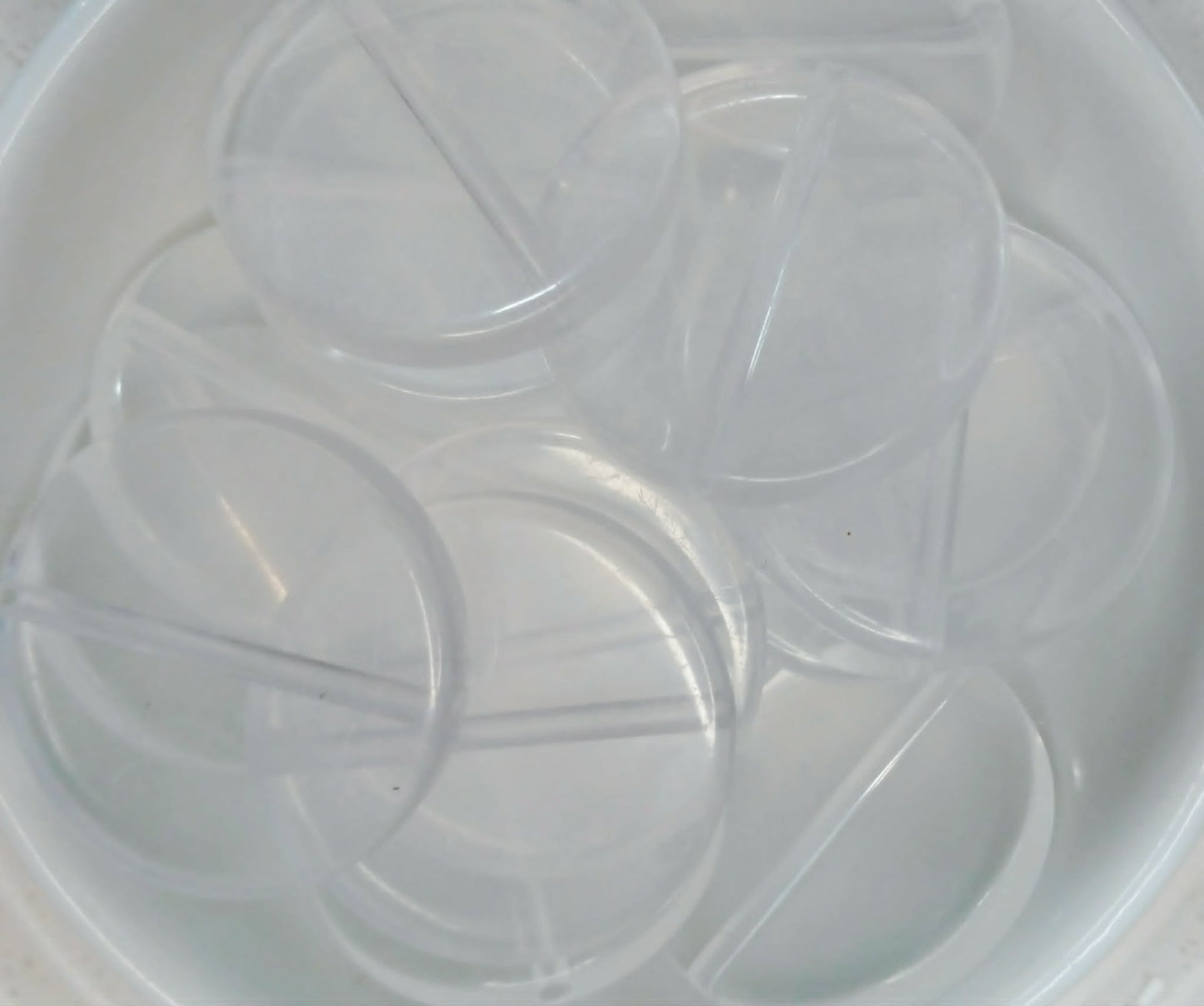 Clear Disc